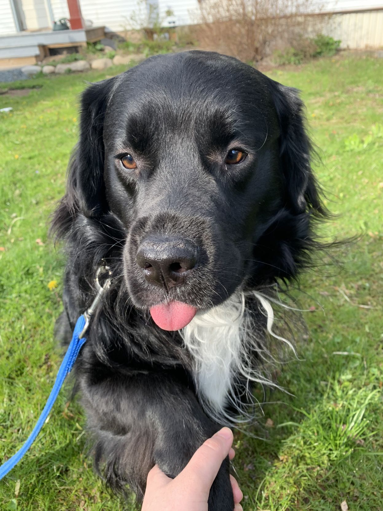 Max